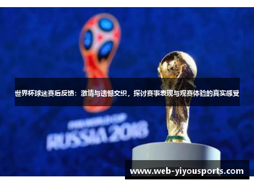 世界杯球迷赛后反馈：激情与遗憾交织，探讨赛事表现与观赛体验的真实感受