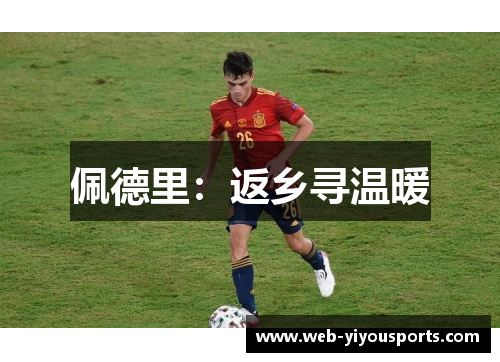 佩德里：返乡寻温暖