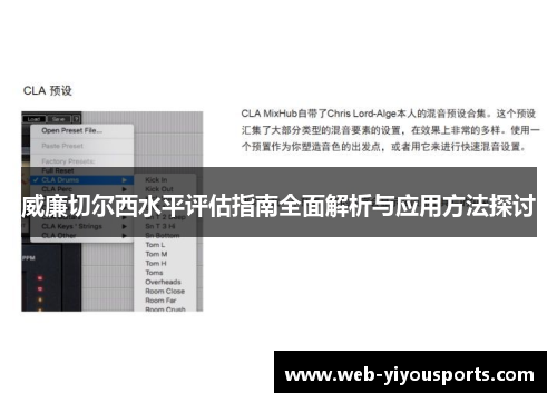 威廉切尔西水平评估指南全面解析与应用方法探讨